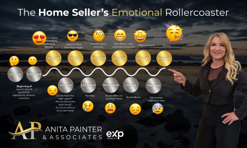 Home Seller's Journey